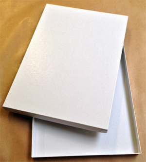 PACK de 10 boites blanches neutres pour stockage photos<br>Format